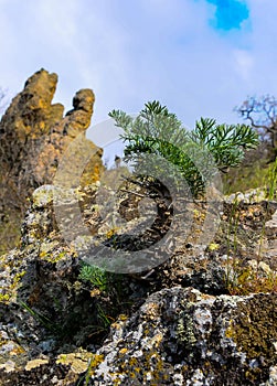 Kara-Dag, colorful volcanic rocks along the Black Sea coast in the national park, Crimea