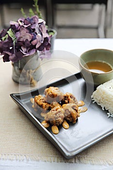 Karaage fried chicken with rice japanese food
