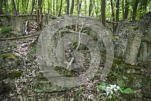 Karaite cemetery in Crimea. Tombstones