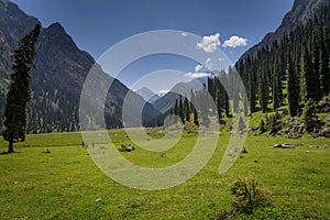 Karakol valley lanscape