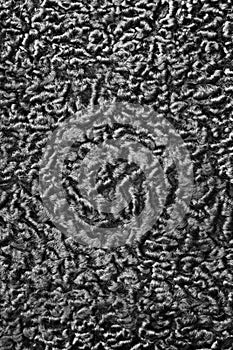 Karakul texture