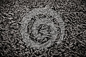 Karakul texture