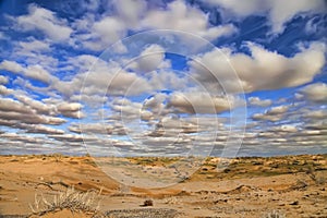 Karakum desert in spring. The landscape of the Central Asian desert .