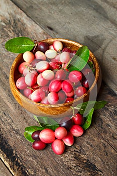 Karanda fruit, Carissa carandas.