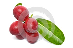 Karanda fruit Carissa carandas