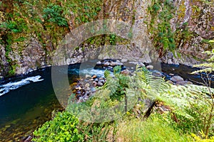 Karangahake Gorge in the Waikato region of New Zealand