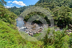 Karangahake Gorge in the Waikato region of New Zealand