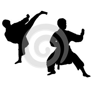 Karate boy. Sport