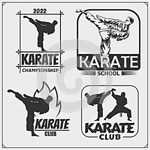 Karate club emblems, labels and design elements. Print design for t-shirt.