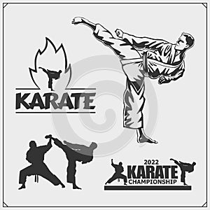 Karate club emblems, labels and design elements. Print design for t-shirt.