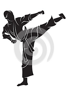 Karate fighter