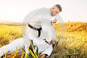 Karate fighter deals decisive kick to the opponent