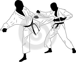 karate fighter, sidekick - vector photo