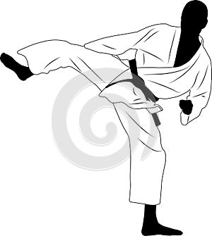 karate fighter, sidekick - vector