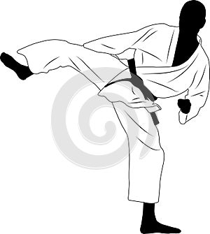 karate fighter, sidekick - vector photo