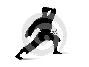 Karate fighter.Karate silhouette vector.