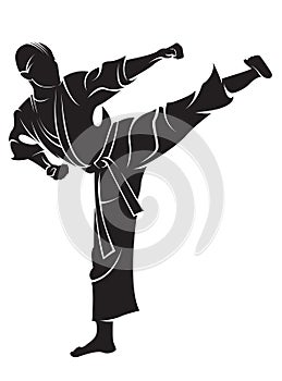 Karate fighter photo