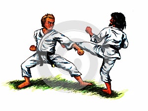 Karate Fighting II (2010)