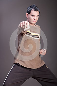 Karate fist punch