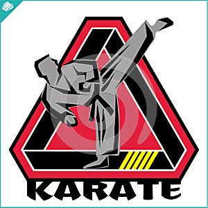 Karate high kick emblem. Martial art colored simbol design. Vector, EPS photo