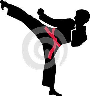 Karate kick with red belt