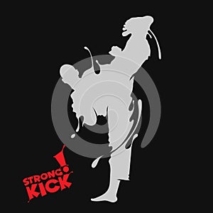 Karate kick splash silhouette