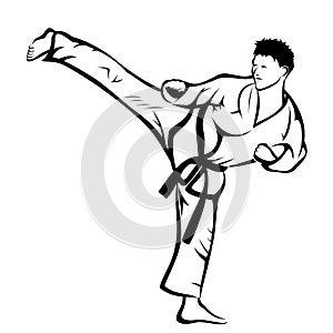 Karate kick photo