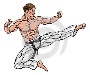 Karate or Kung Fu Flying Kick