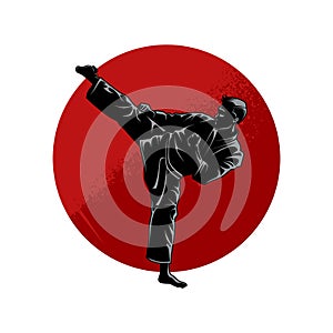 Karate logo design. Karate Martial art Fighter Illustration vector