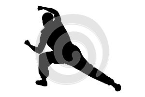 Karate man boxing high