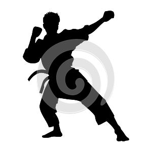 Karate man fighter silhouette
