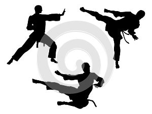 Karate Martial Art Silhouettes photo