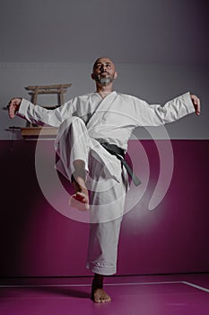 Karate master in crane pose, exercising in his dojo