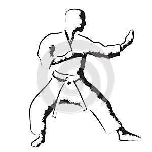 Karate moves, stylized karateka vector