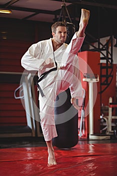 Karate player performing karate stance