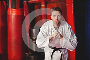 Karate player performing karate stance