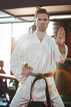 Karate player performing karate stance