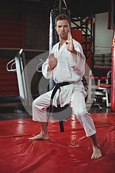 Karate player performing karate stance