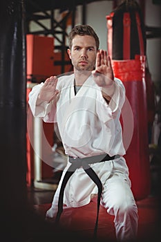 Karate player performing karate stance