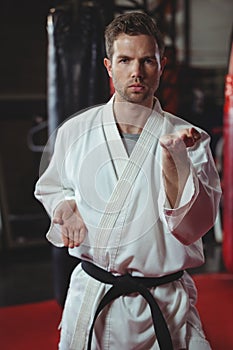 Karate player performing karate stance