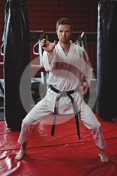 Karate player performing karate stance