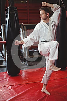 Karate player performing karate stance