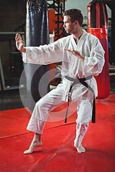 Karate player performing karate stance