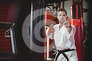 Karate player performing karate stance