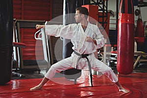 Karate player performing karate stance