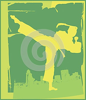 Karate Pose 5