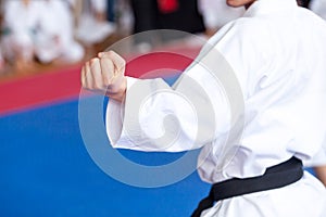 Karate practitioner body position during training. Martial arts.