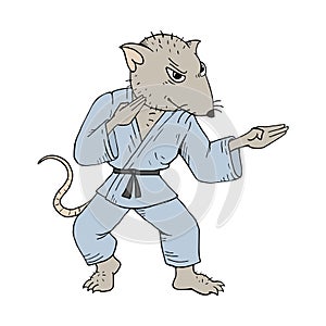 Karate rat draw