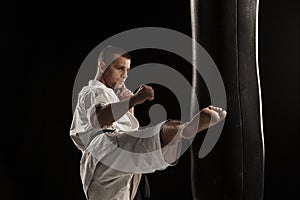 Karate round kick in a punching bag