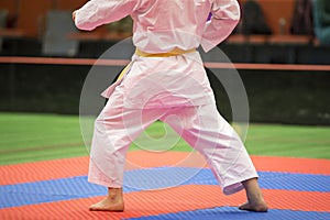 Karate Shotokan Kata